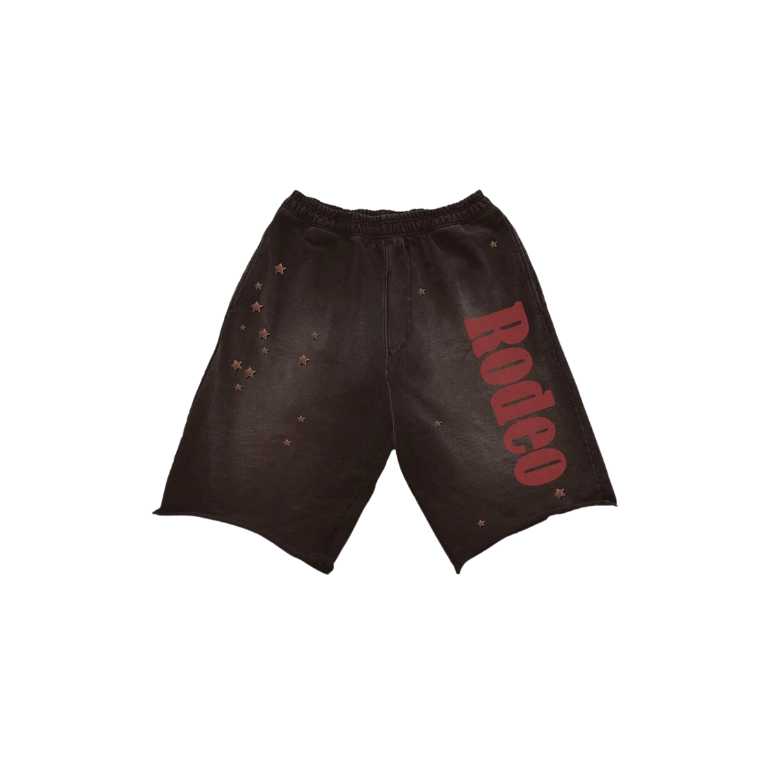 Sp5der x Travis Scott Cactus Jack Days Before Rodeo Shorts